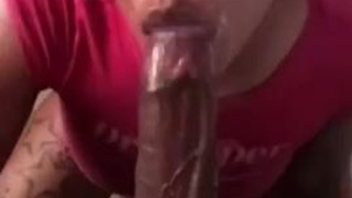 Sloppy Ebony Couple Ebony Deepthroat Big Dick Big Balls Balls Sucking BBC GIF