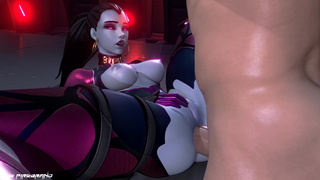 Widowmaker Talon Meeting White